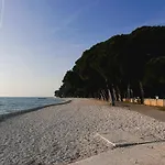 Magnolija بولا