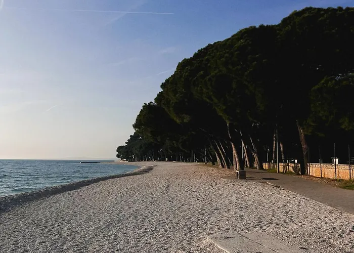 Magnolija 풀라